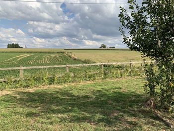 Scenic view of field against sky