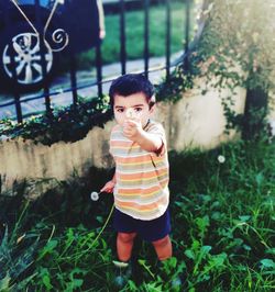 Portrait of cute baby boy holding dandelion while standing on plants