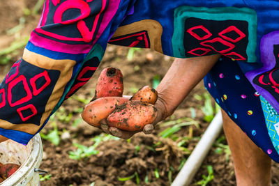 Low section of man holding food on field