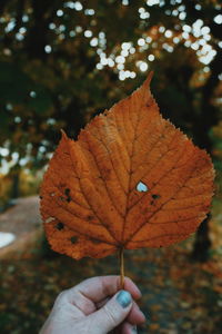 Cropped hand of woman holding autumn leaf