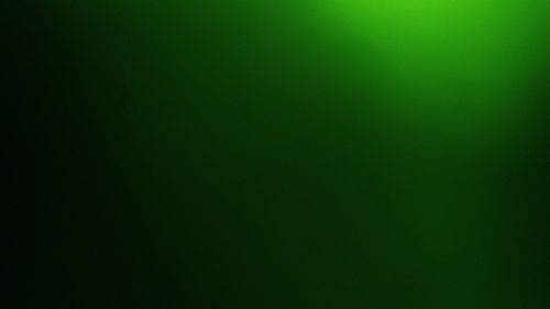 Full frame shot of green background