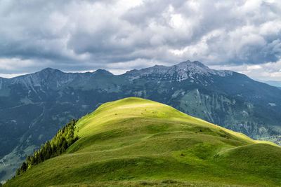 Scenic view of green mountains against sky