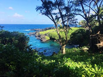 Scenic view of sea against sky