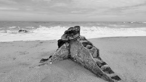 Driftwood on beach by sea against sky