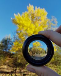 Cropped hand holding lens against yellow tree during autumn