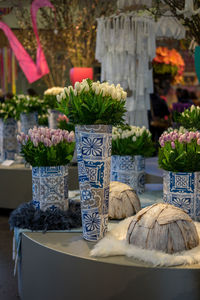 Close-up of potted plants on table