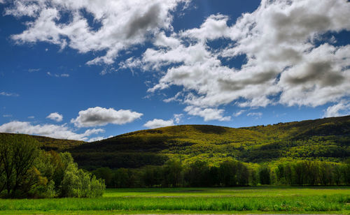 Scenic view of landscape against sky