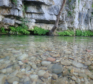 Scenic view of sea