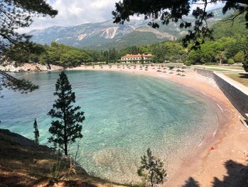 Scenic view of beach