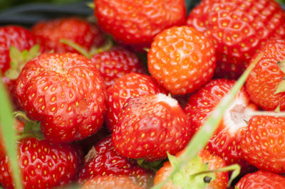 Full frame shot of strawberries