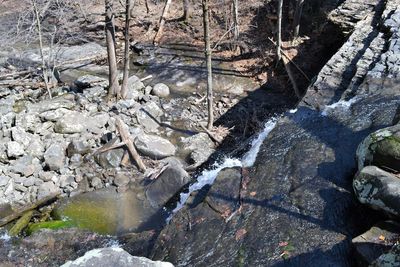 High angle view of river flowing through rocks in forest