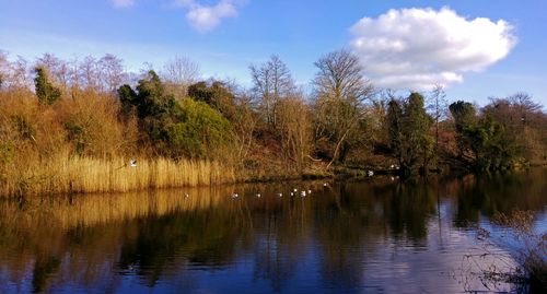 Scenic view of lake against cloudy sky