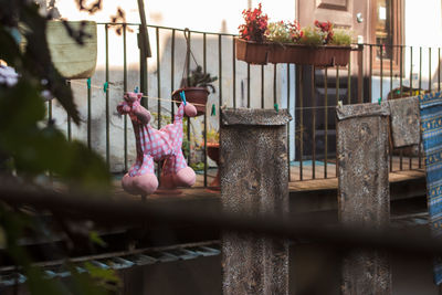 Full length of woman with pink flowers against fence