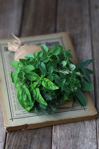 High angle view of plant on table