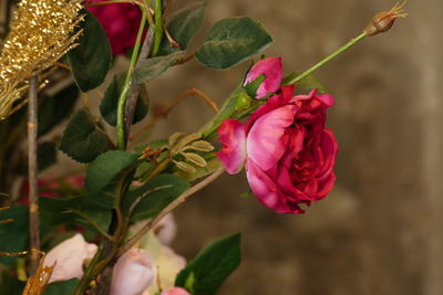 Close-up of red rose blooming outdoors