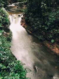 Scenic view of waterfall in forest