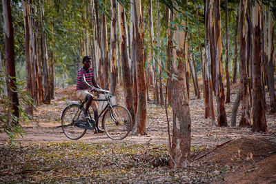 Man riding bicycle in forest