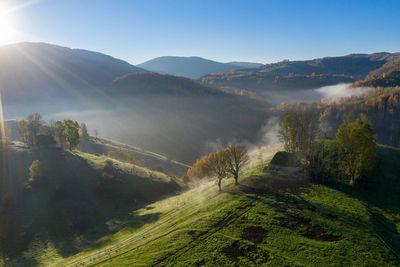environment