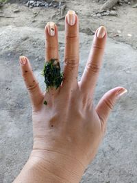High angle view of hand holding leaf