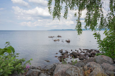 Scenic view of sea against sky