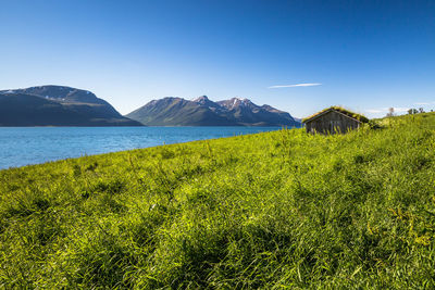 Grass with lake in background