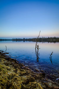 Scenic view of lake against clear blue sky