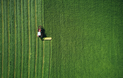 Powerful transport symmetrically plowing green wheat field