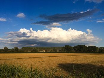 Scenic view of field against cloudy sky