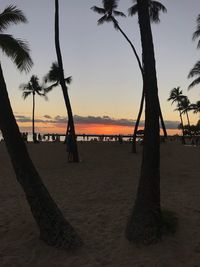 Silhouette palm trees on beach against sky during sunset