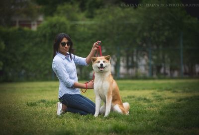 Portrait of dog on grassy field