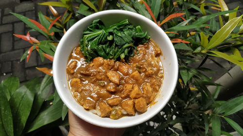 High angle view of noodles in bowl