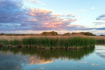 Scenic view of lake against sky during sunset