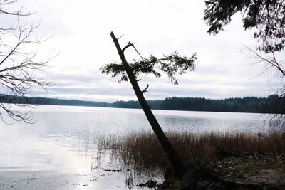 Scenic view of lake against sky during winter