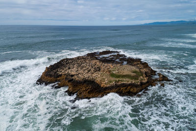 Pescadero state beach in california, usa