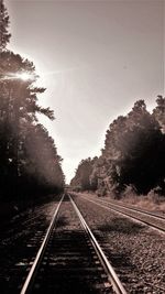 Railway tracks amidst trees against clear sky