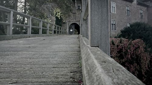 Narrow walkway along trees