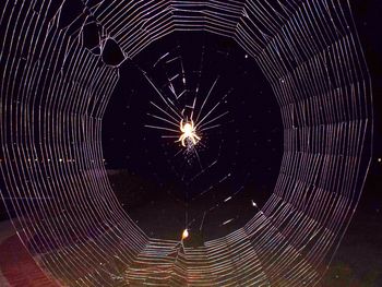 Low angle view of illuminated ferris wheel