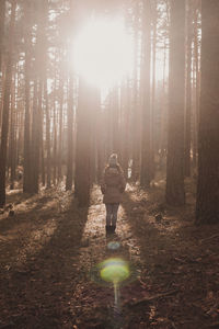 Rear view of man walking in forest