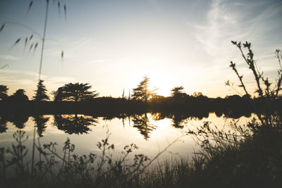 Reflection of trees in lake during sunset