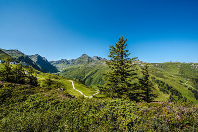Scenic view of landscape against clear blue sky