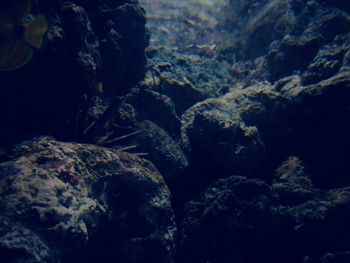 Close-up of rocks in water