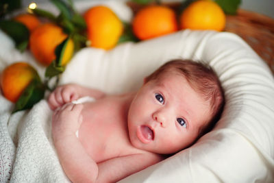 Caucasian newborn baby lies in a basket with tangerines under a white blanket.