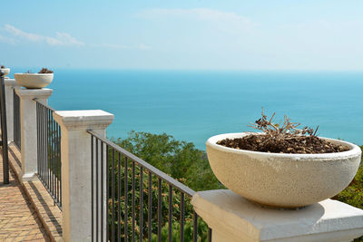 Close-up of potted plant by sea against sky