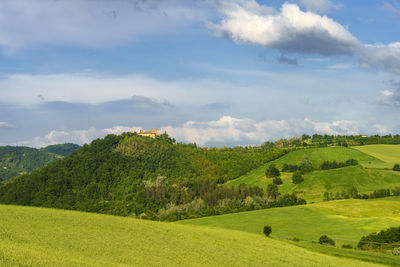 Scenic view of field against sky