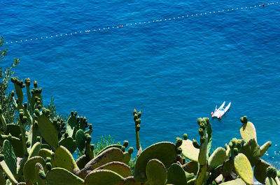 High-angle view of mediterranean sea along amalfi coast.