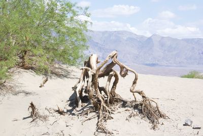 Scenic view of desert against sky