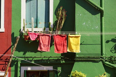 Close-up of potted plants