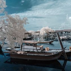 Boats in harbor