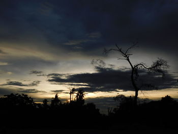 Silhouette trees against sky during sunset