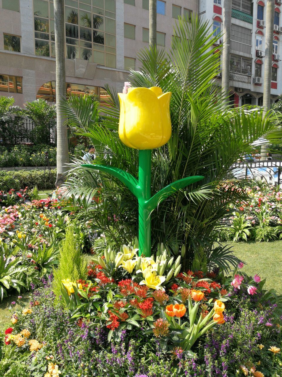 CLOSE-UP OF YELLOW FLOWERING PLANTS AGAINST BUILDING